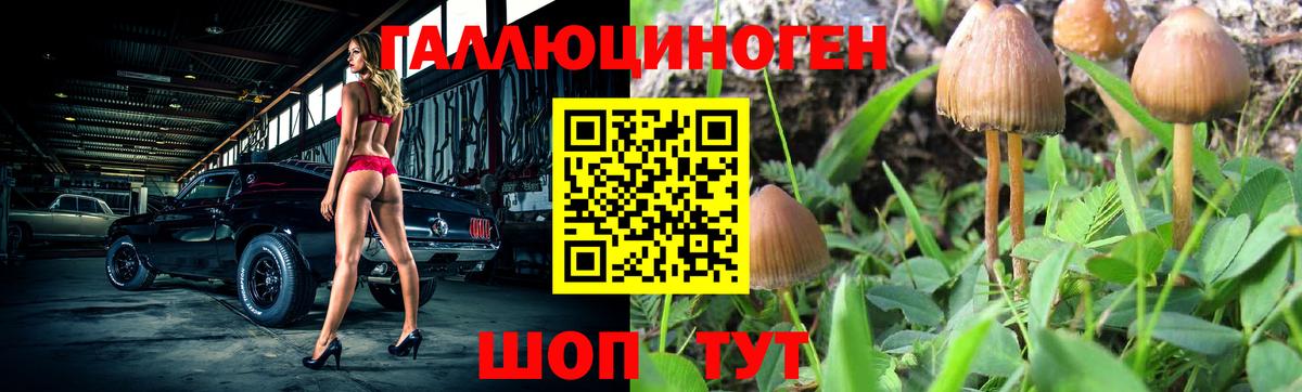 как найти закладки  Галлюциногенные грибы прущие грибы  Железногорск  Вход с VPN  Галлюциногенные грибы мицелий 